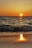 body of water wave photo during golden time