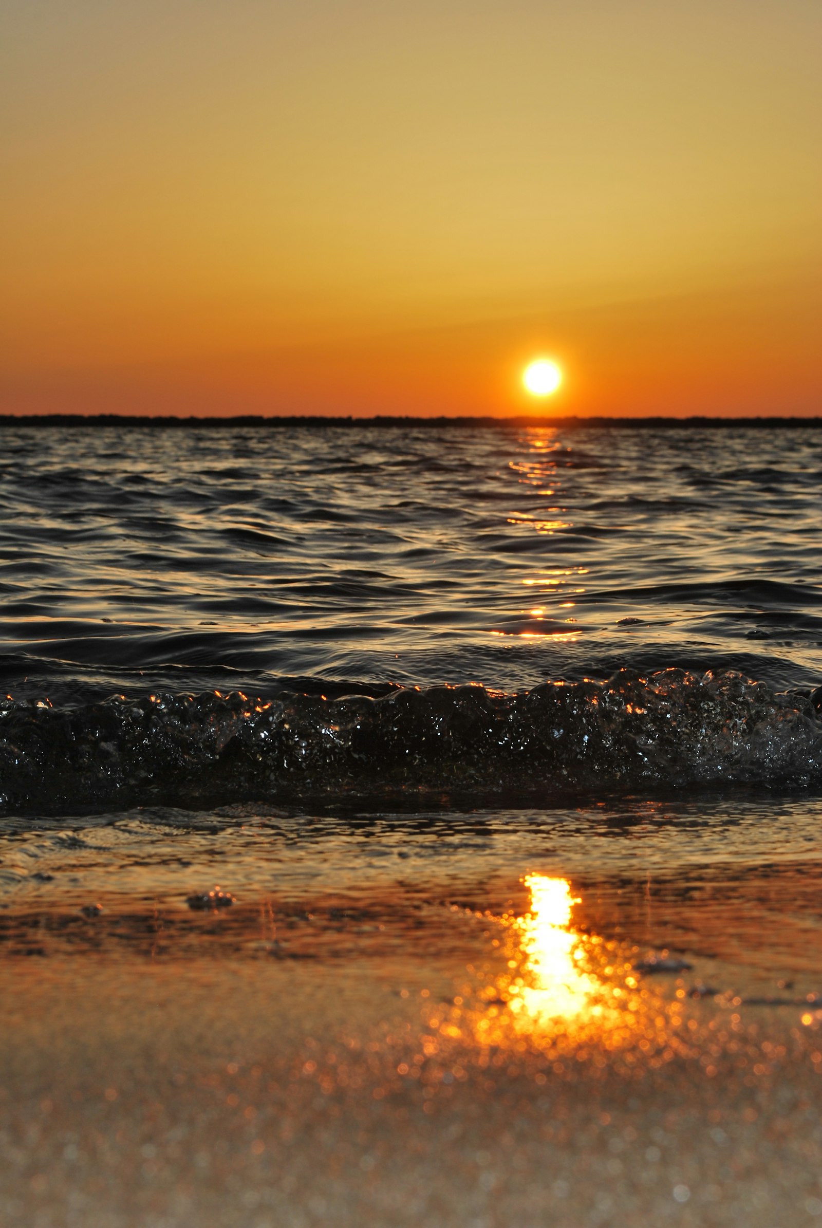 Ocean shoreline at sunset
