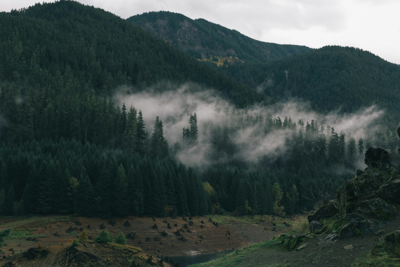 Холмы туман. Сарлык гора туманный лес. Меос туман в горах Белорецкий район .. Туманные холмы Норвегия. Лес горы туман.