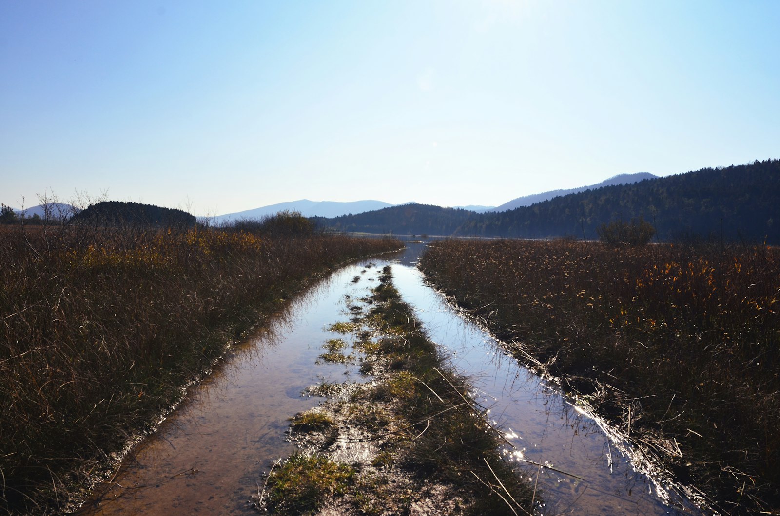 Nikon AF-S Nikkor 14-24mm F2.8G ED sample photo. Wet trail photo photography