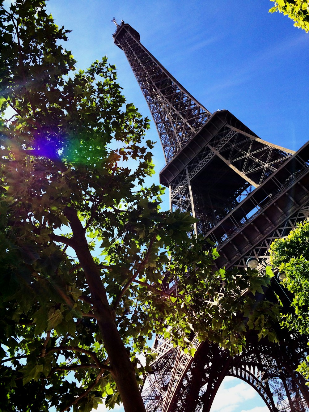 low angle photography of Eiffel Tower