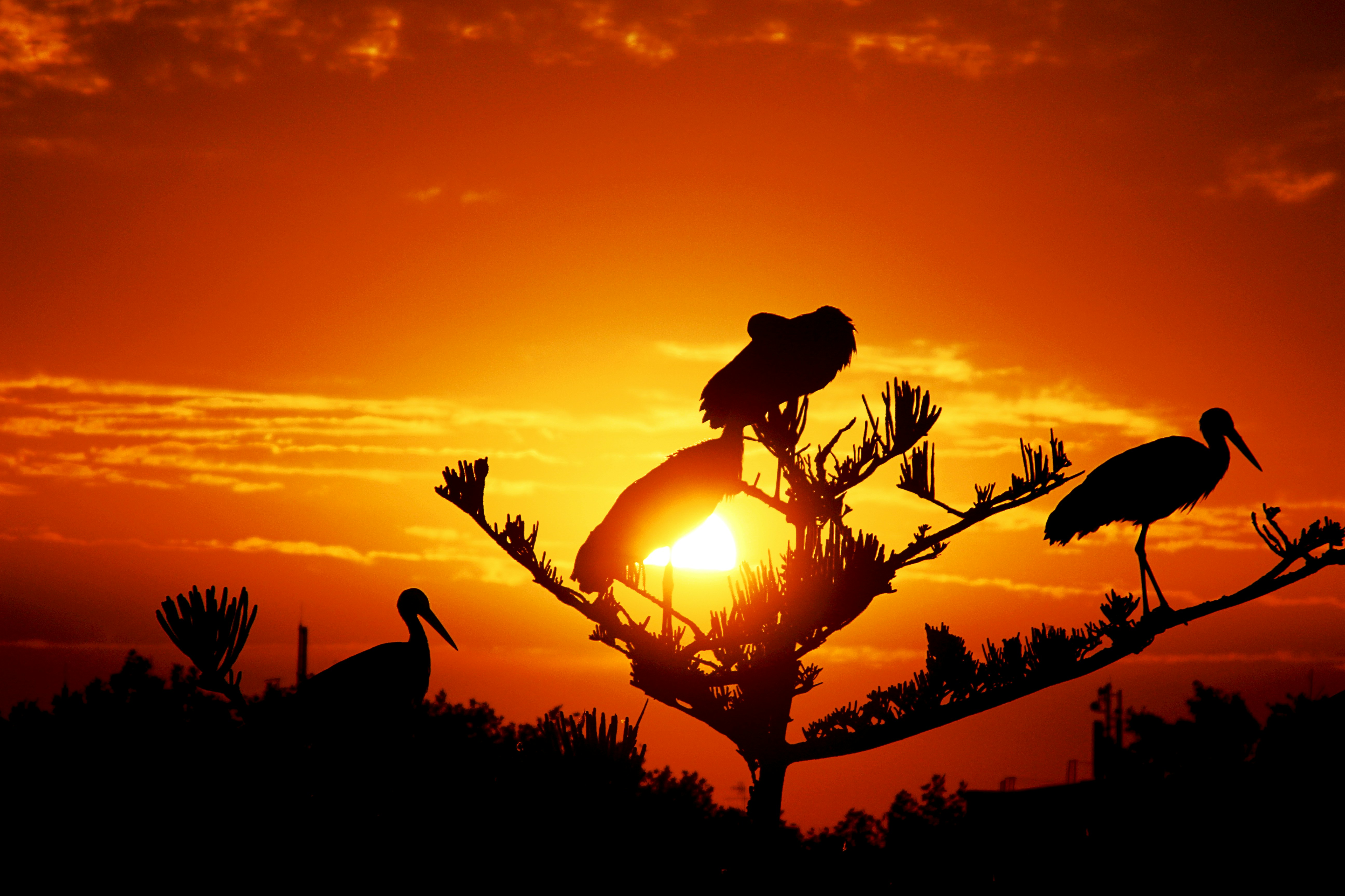 Free Unsplash photo from Wael Labrinssi