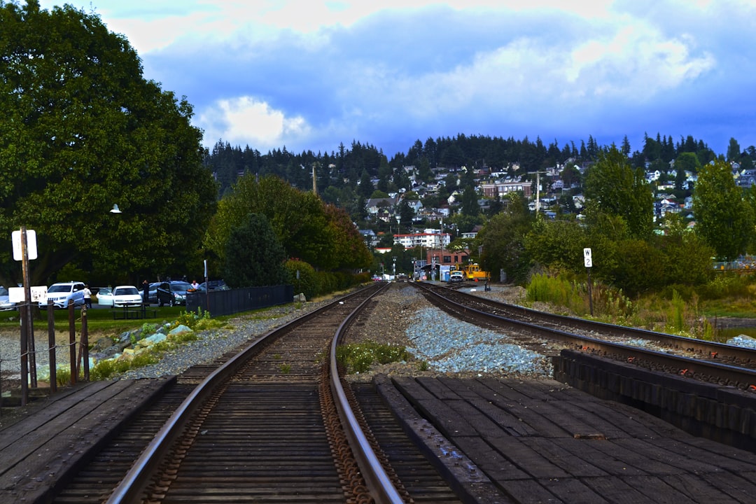 train railroad, Train view of cityscape