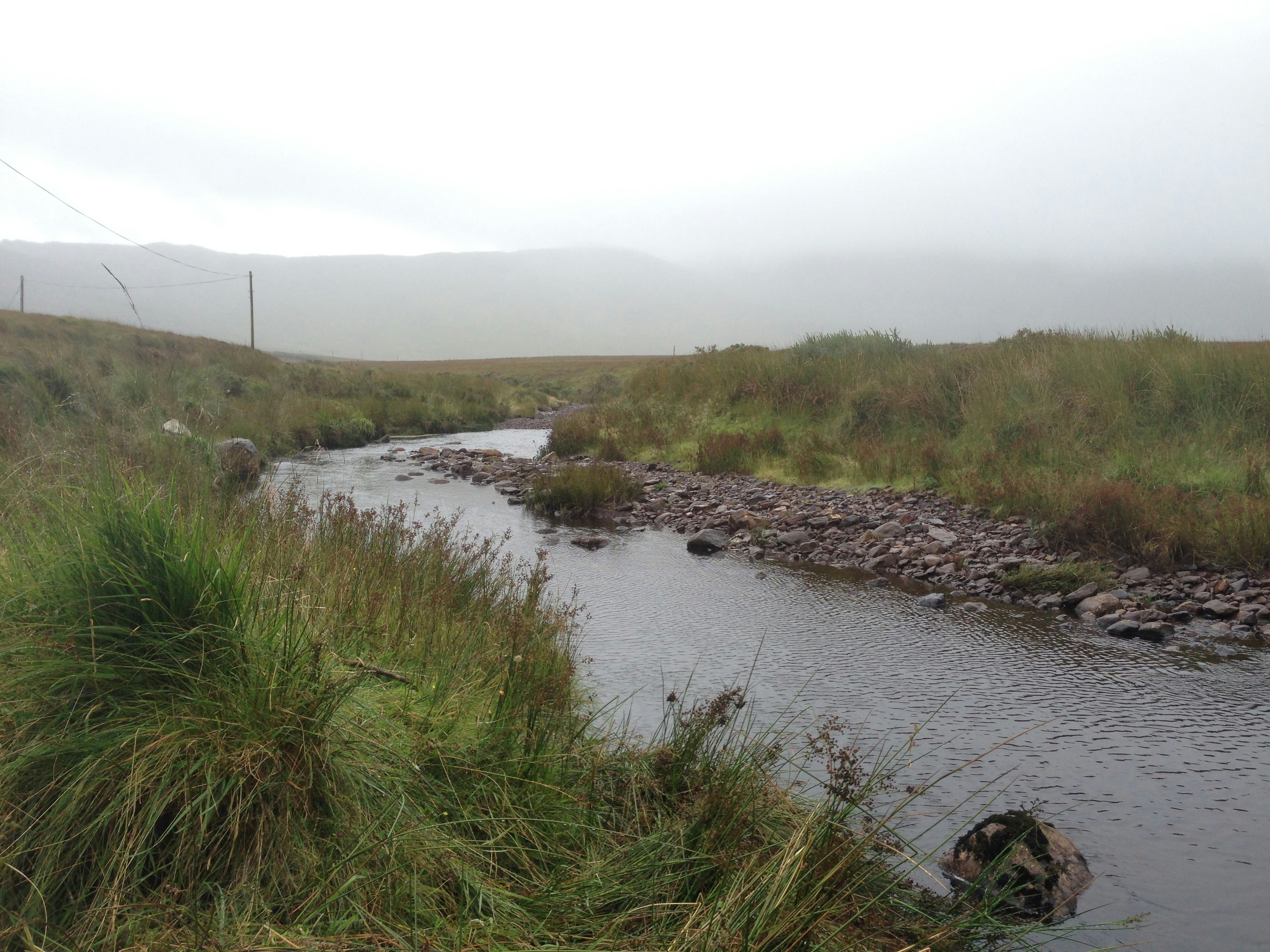 Free Unsplash photo from Thomas v.d. Bijl