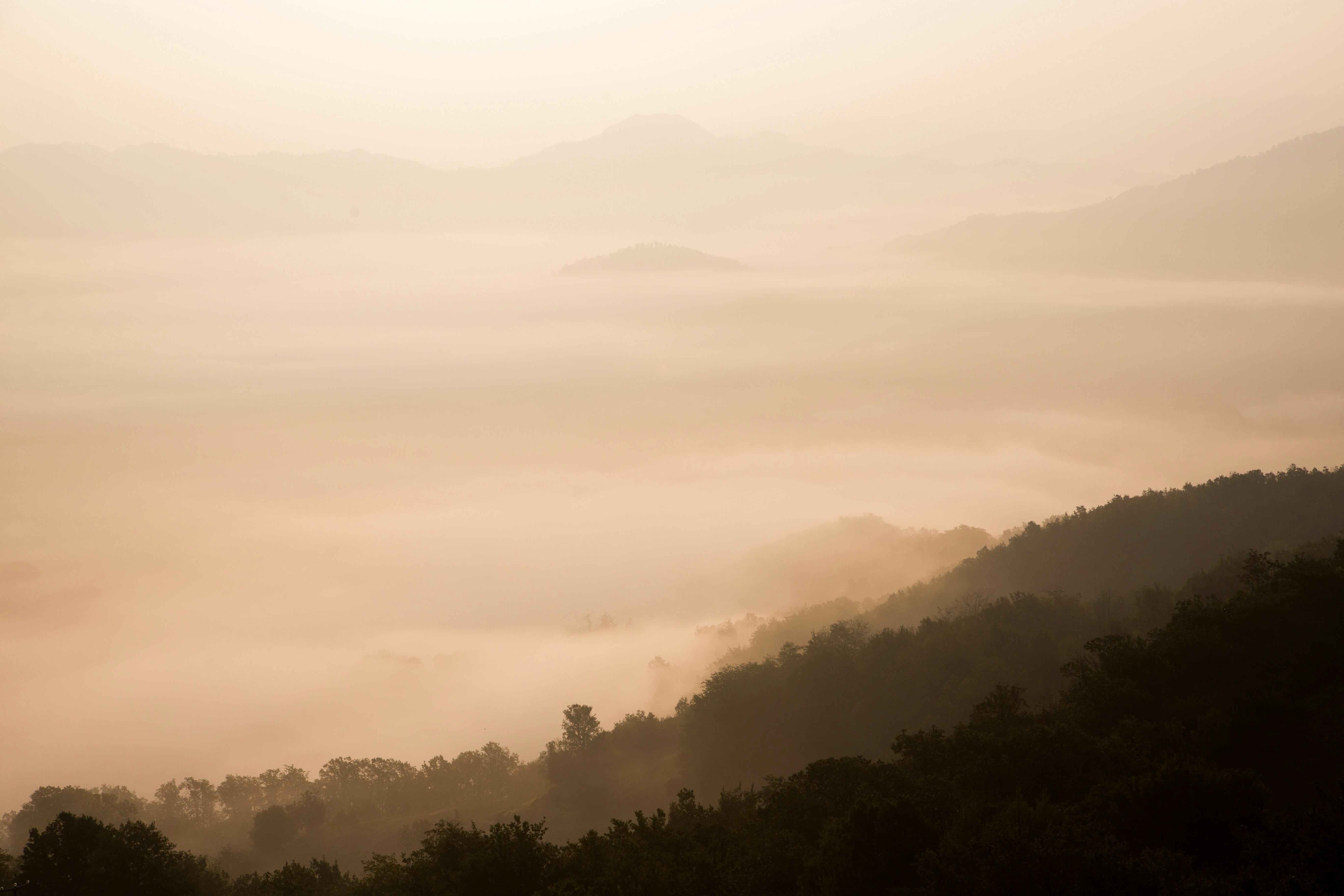 bird's eye view photography of mountain with fogs