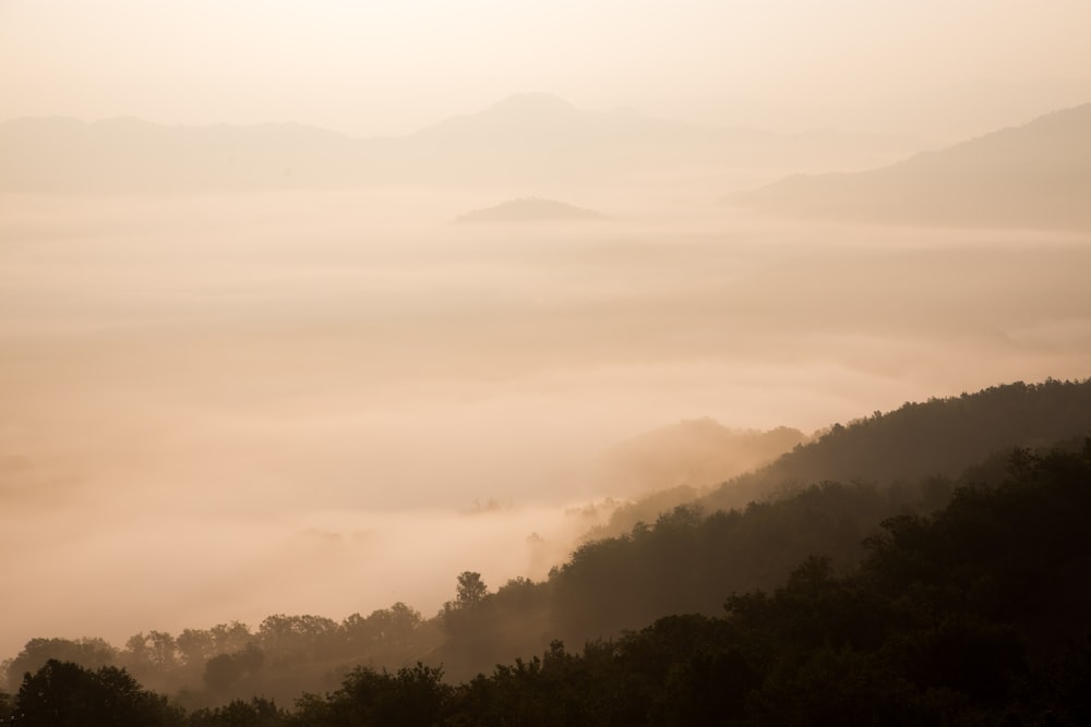bird's eye view photography of mountain with fogs