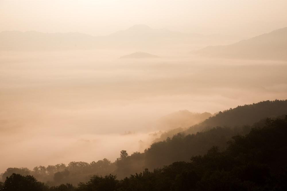 Fotografía a vista de pájaro de montaña con nieblas