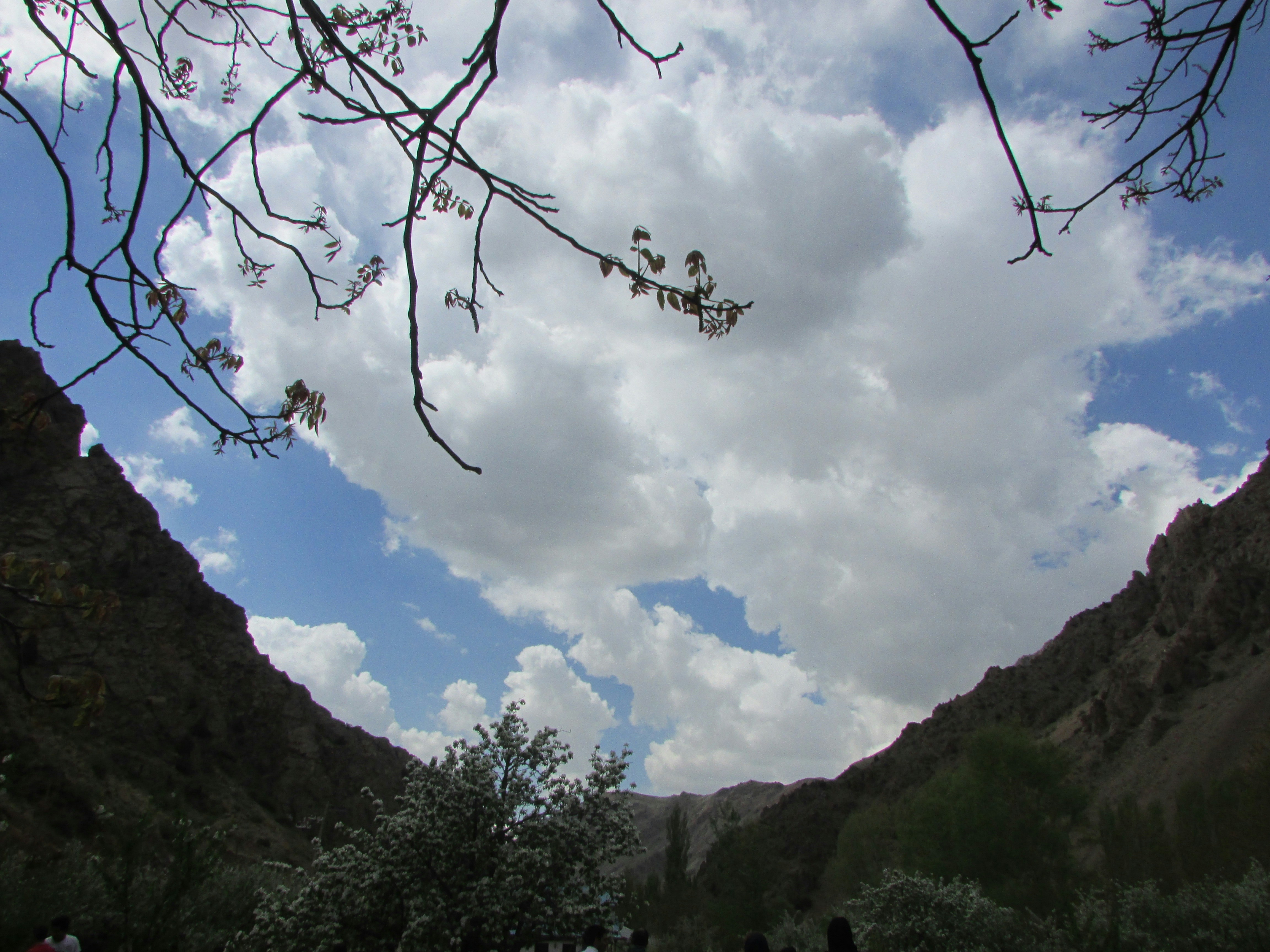 Free Unsplash photo from fredric yousef siar