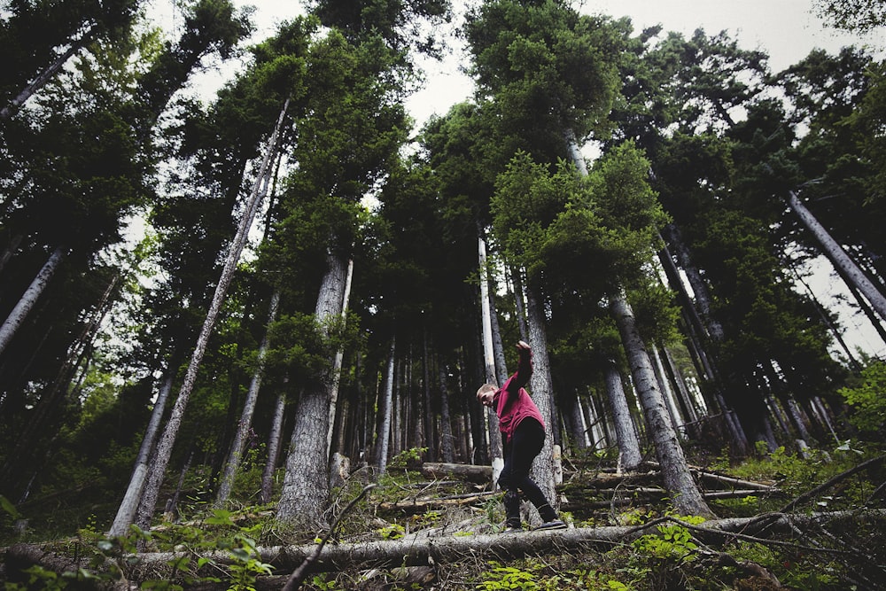 person stepping on gray log