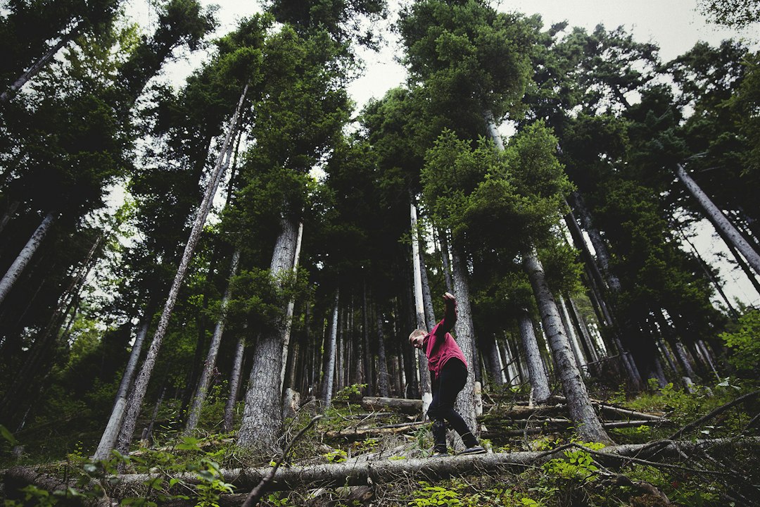 person stepping on gray log, Forest hiking