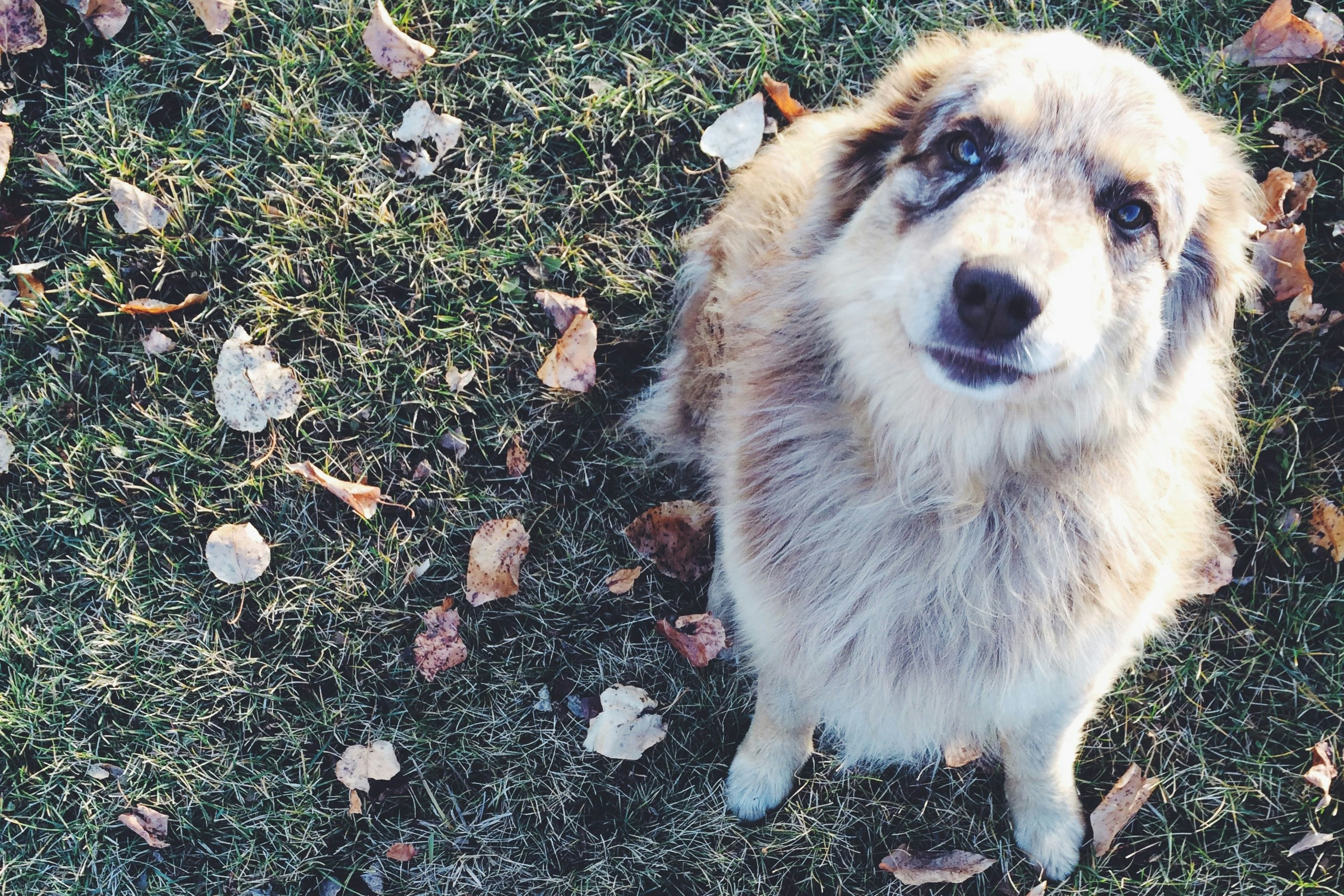 Free Unsplash photo from Kyle Anderson