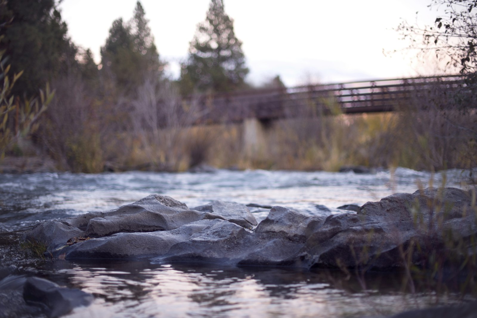 Nikon D600 + Nikon AF-S Nikkor 50mm F1.4G sample photo. Body of water near photography