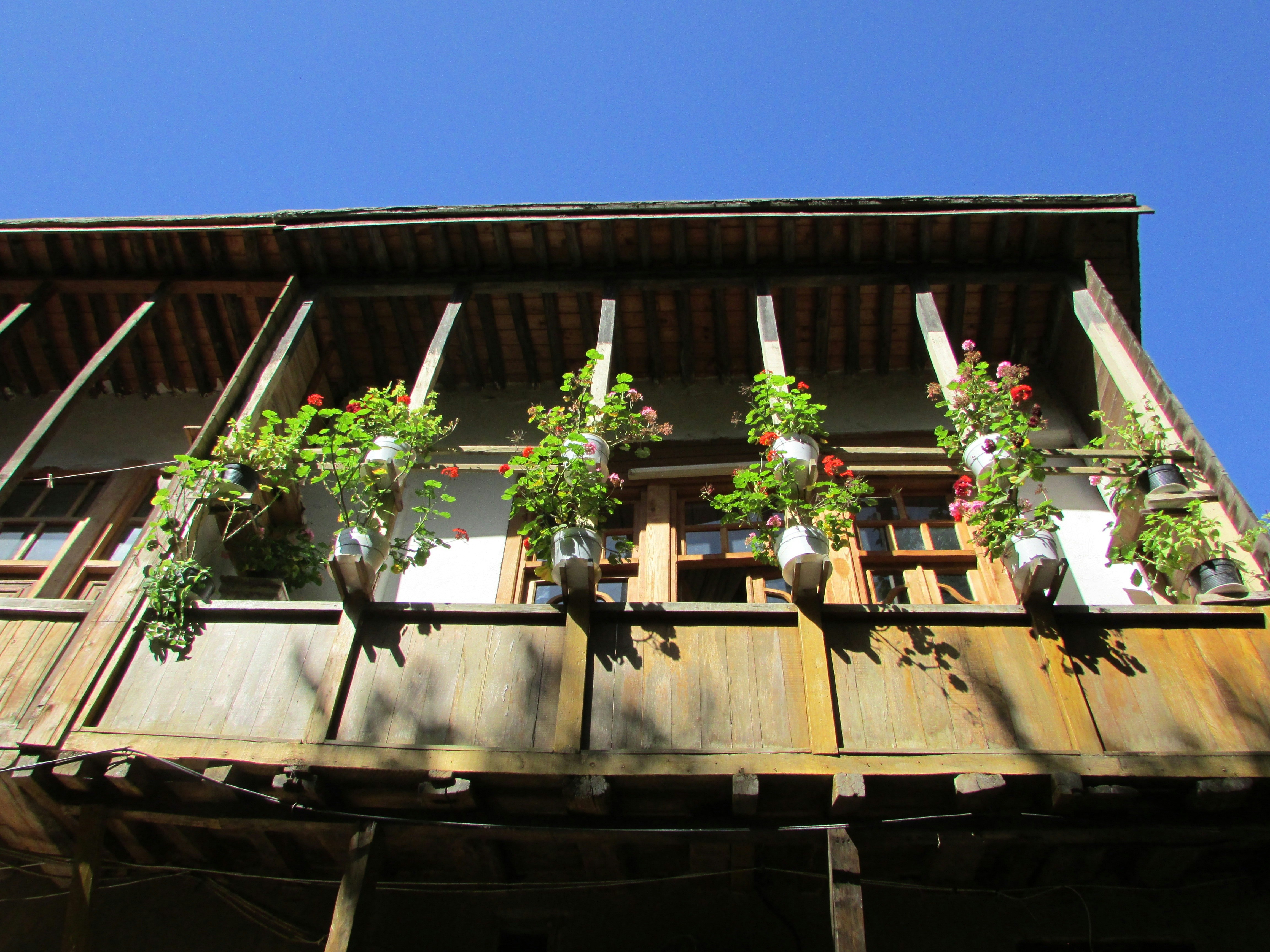 Free Unsplash photo from fredric yousef siar