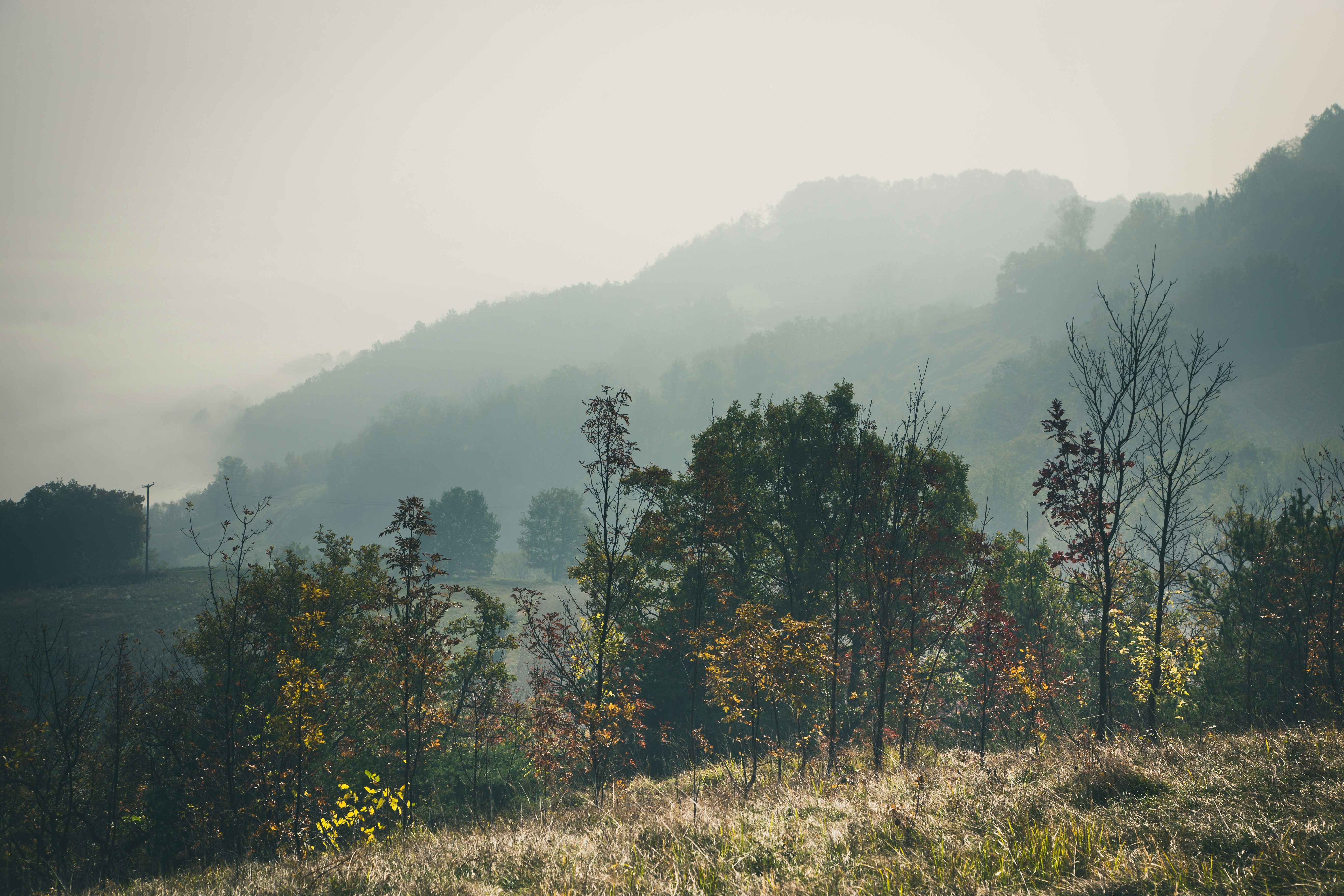 Photo By Francesco Gallarotti