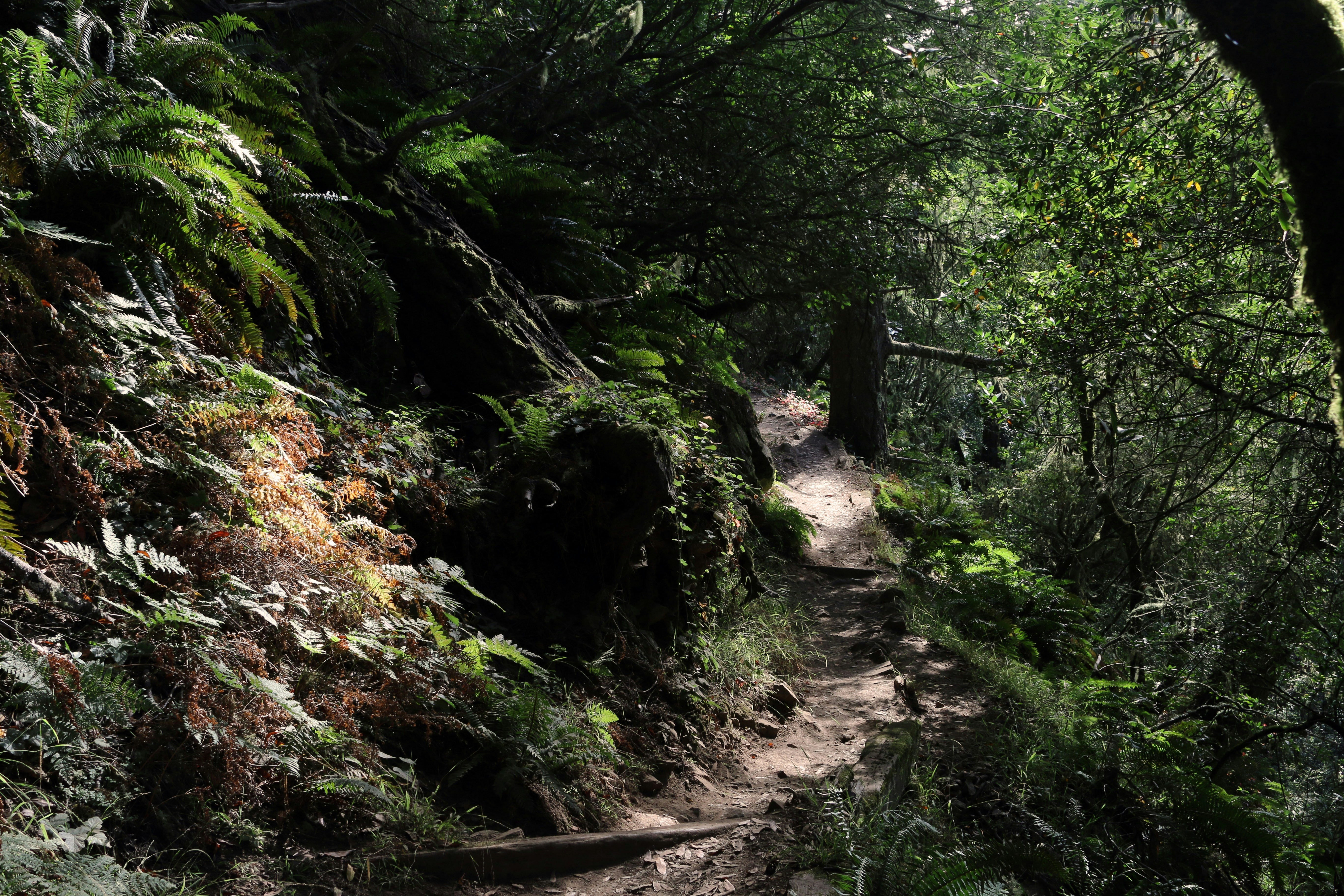 Free Unsplash photo from Mars Williams