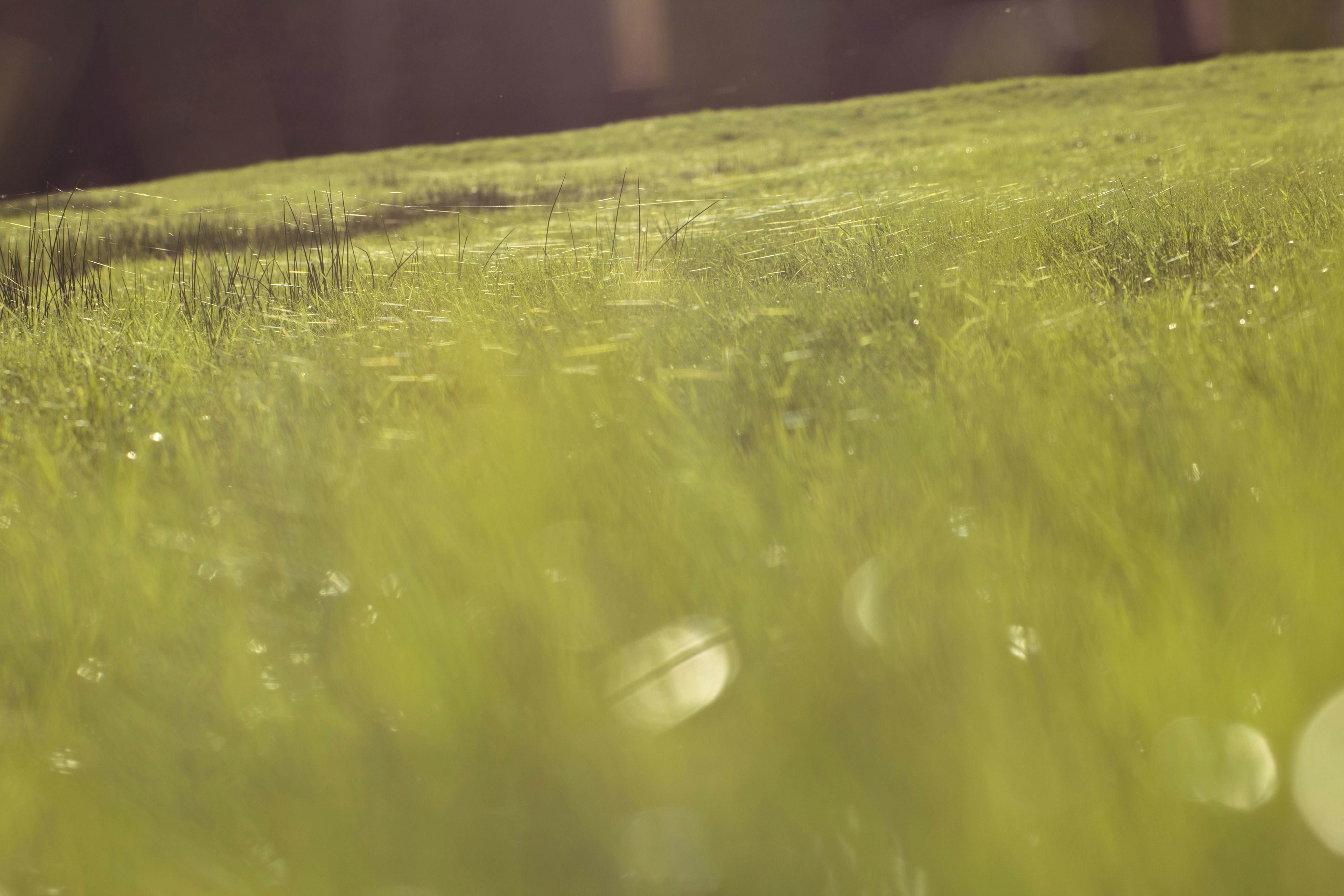 Free Unsplash photo from Cora Leucht