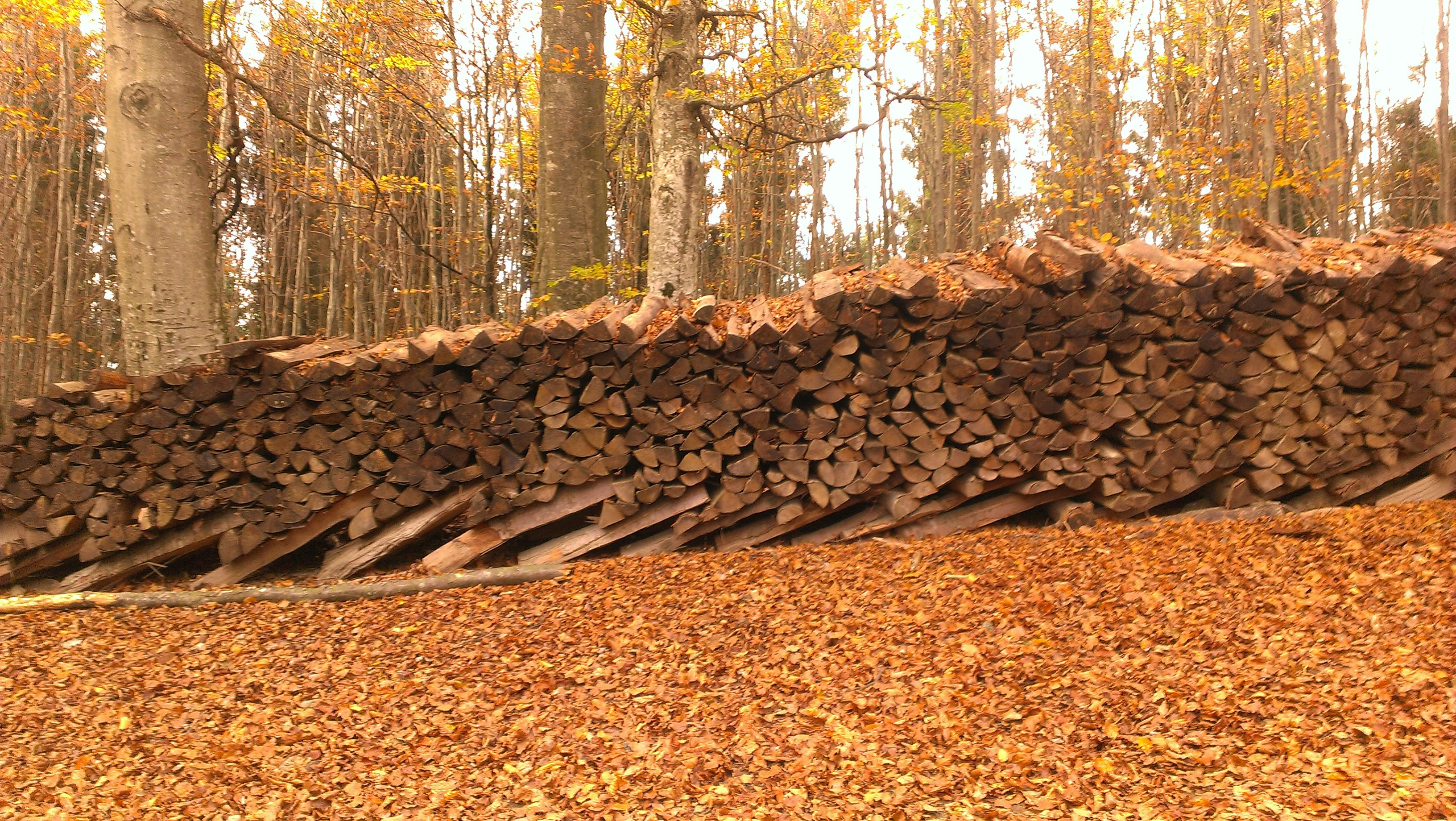 Free Unsplash photo from Marc Wilnauer