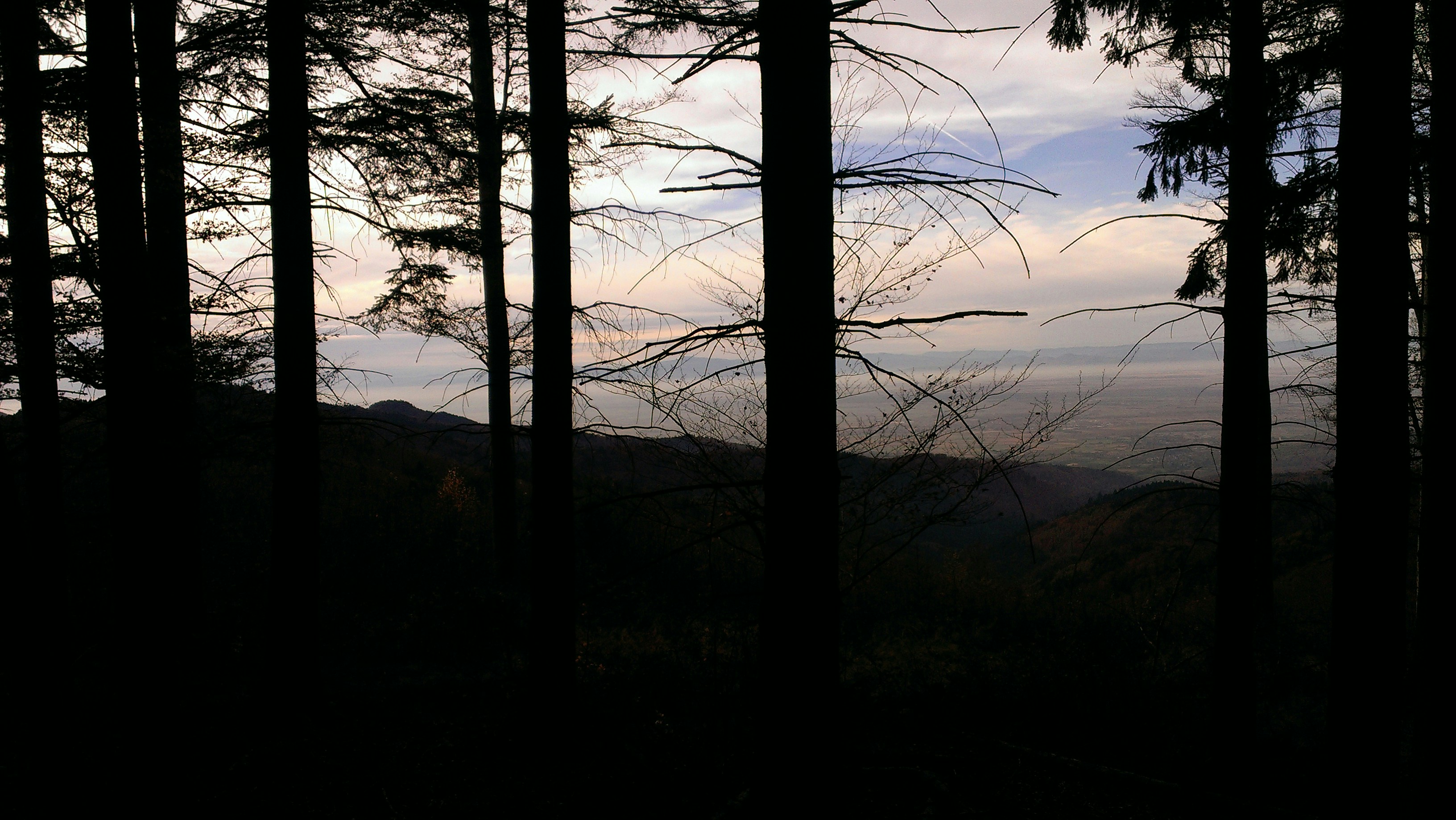 Free Unsplash photo from Marc Wilnauer