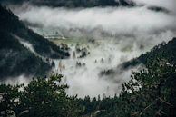 A peaceful corner of Monteverde with fog rolling over lush green hills at dawn.