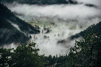 A peaceful corner of Monteverde with fog rolling over lush green hills at dawn.