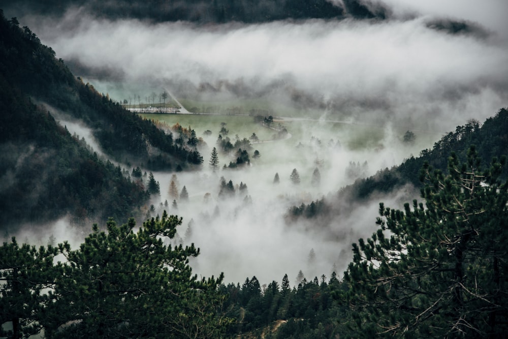 aerial photography of mountain