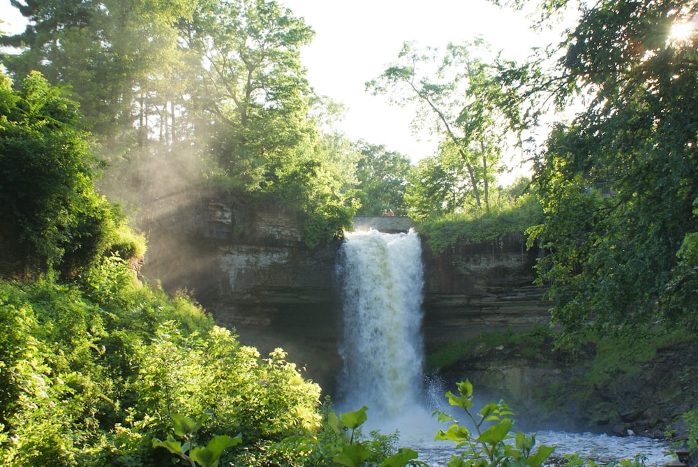 waterfalls surrounded by green trees during daytime