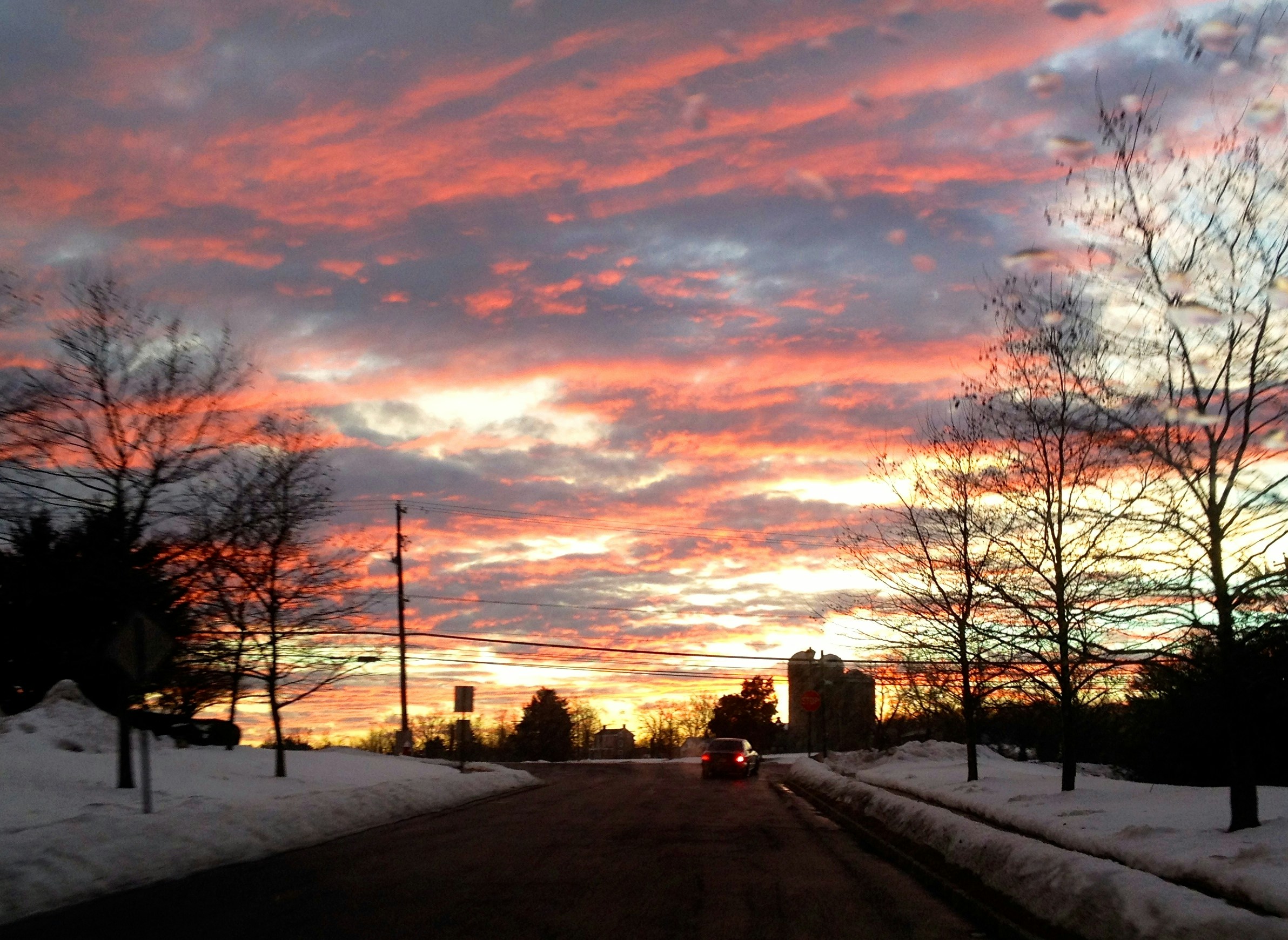 Free Unsplash photo from Elizabeth Pfeiffer