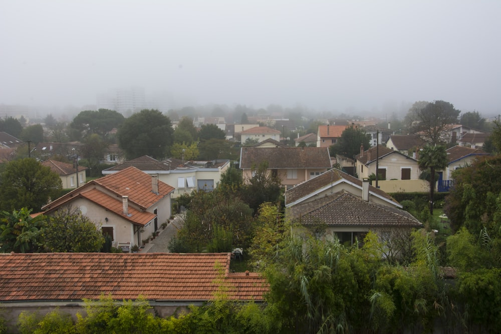 houses surrounded by trees