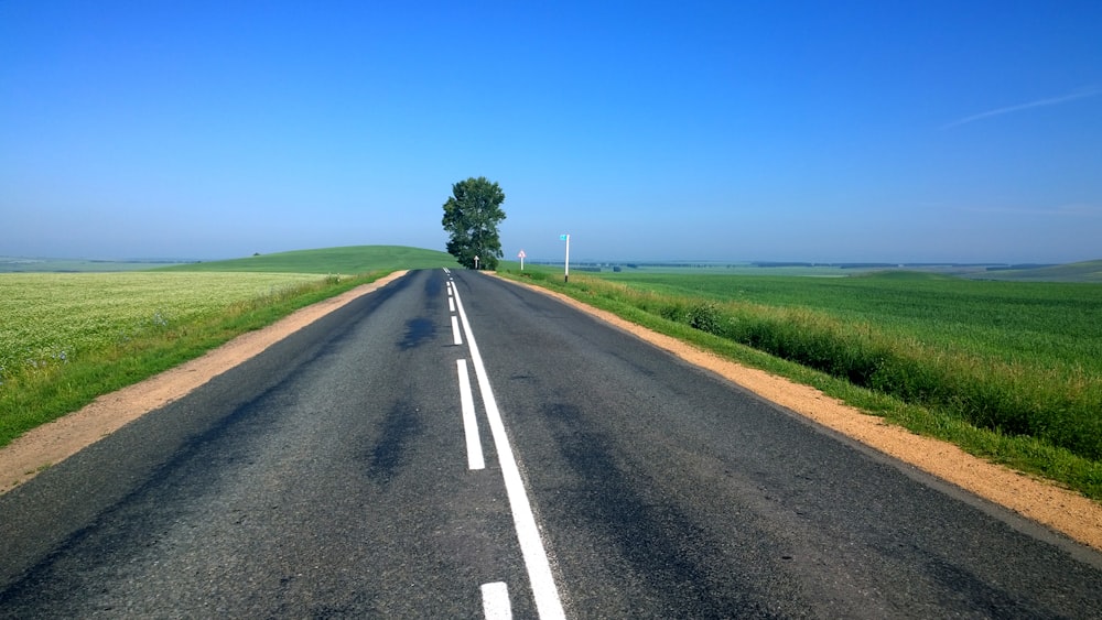 road between green grass covered plains