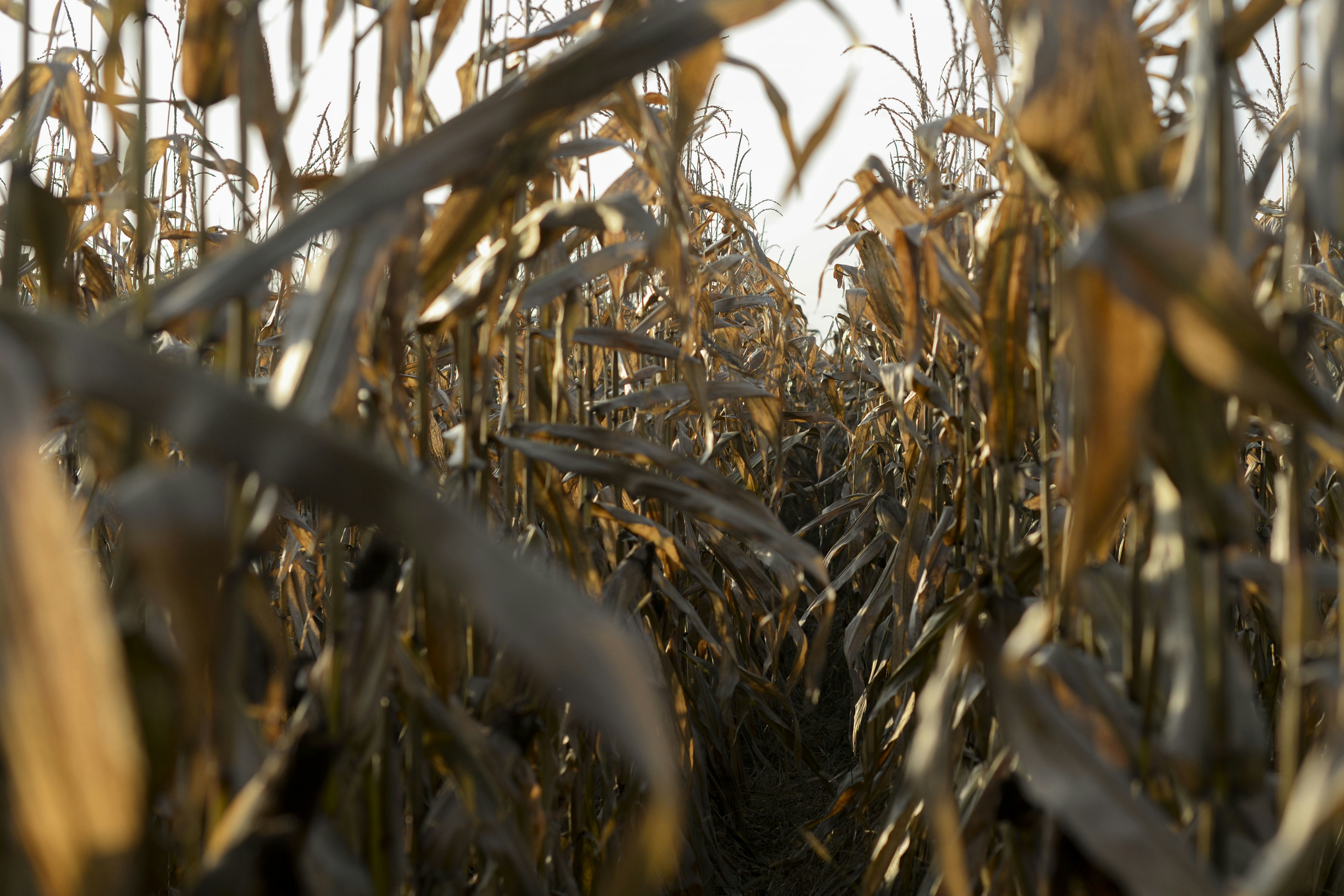 Free Unsplash photo from Sylwia Pietruszka