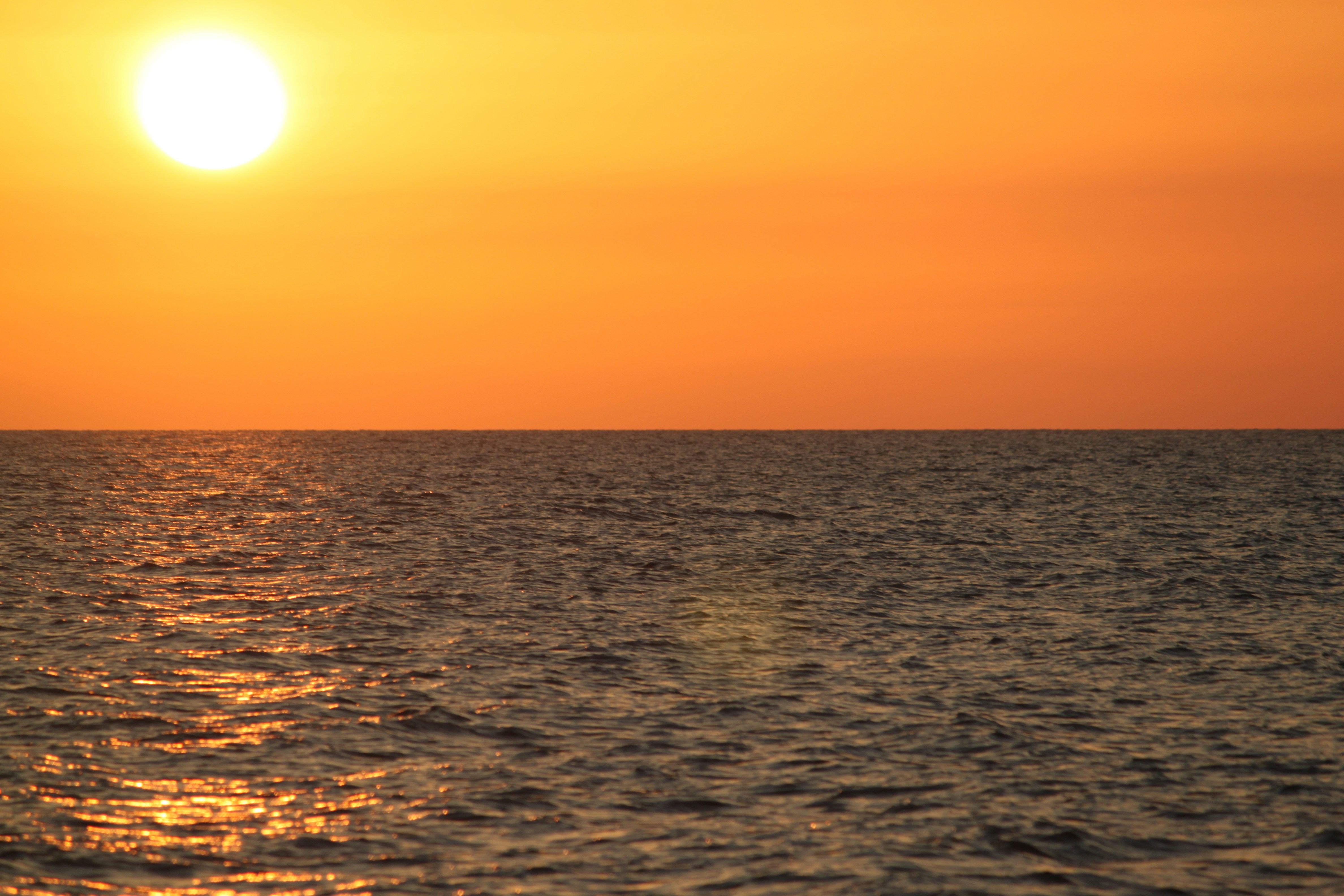 Free Unsplash photo from Mohammad Hossein Mojtahedi