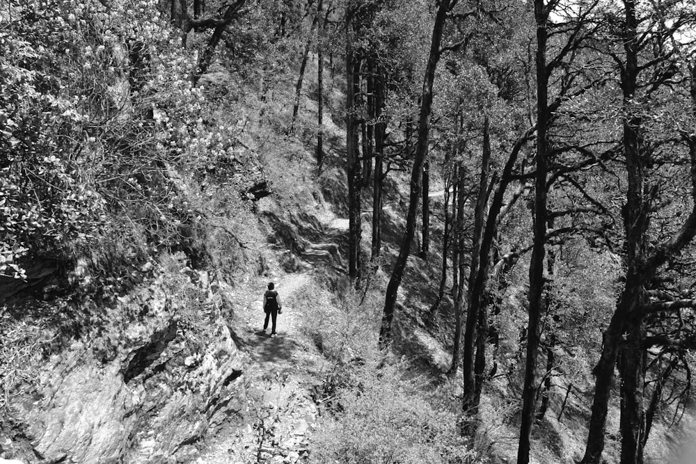 숲이 우거진 경사면의 흙길에 홀로 서 있는 등산객의 흑백 사진