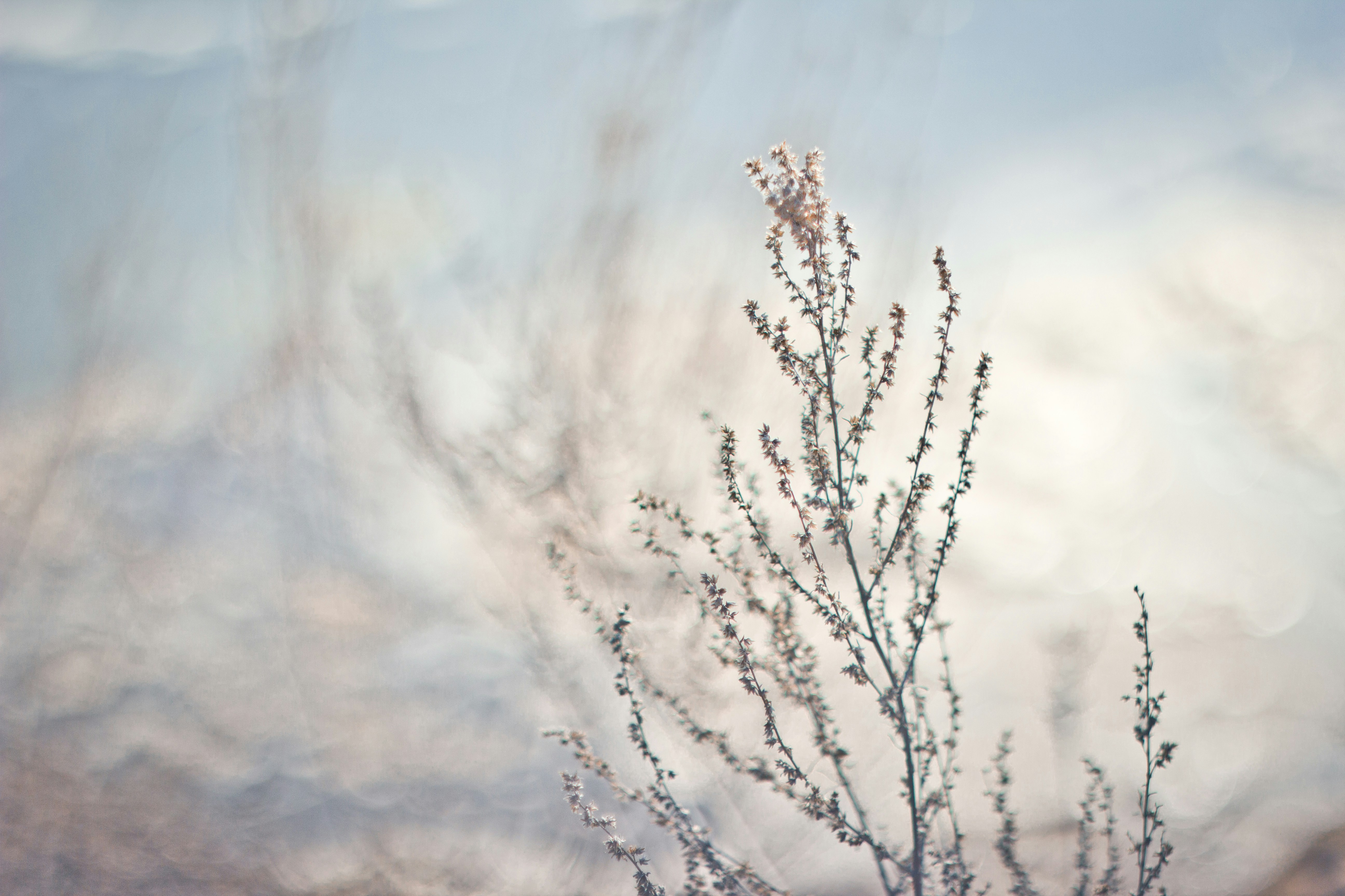 Free Unsplash photo from Vadim Gromov