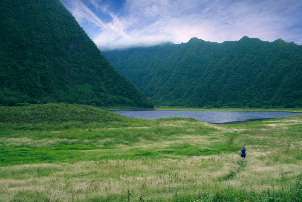 landscape photography of green valley