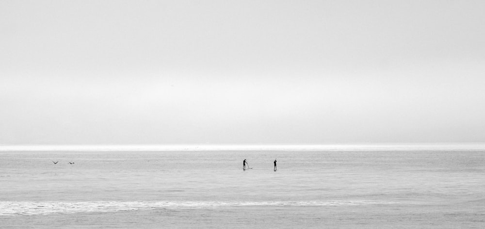 Due persone in piedi sul paesaggio durante il giorno