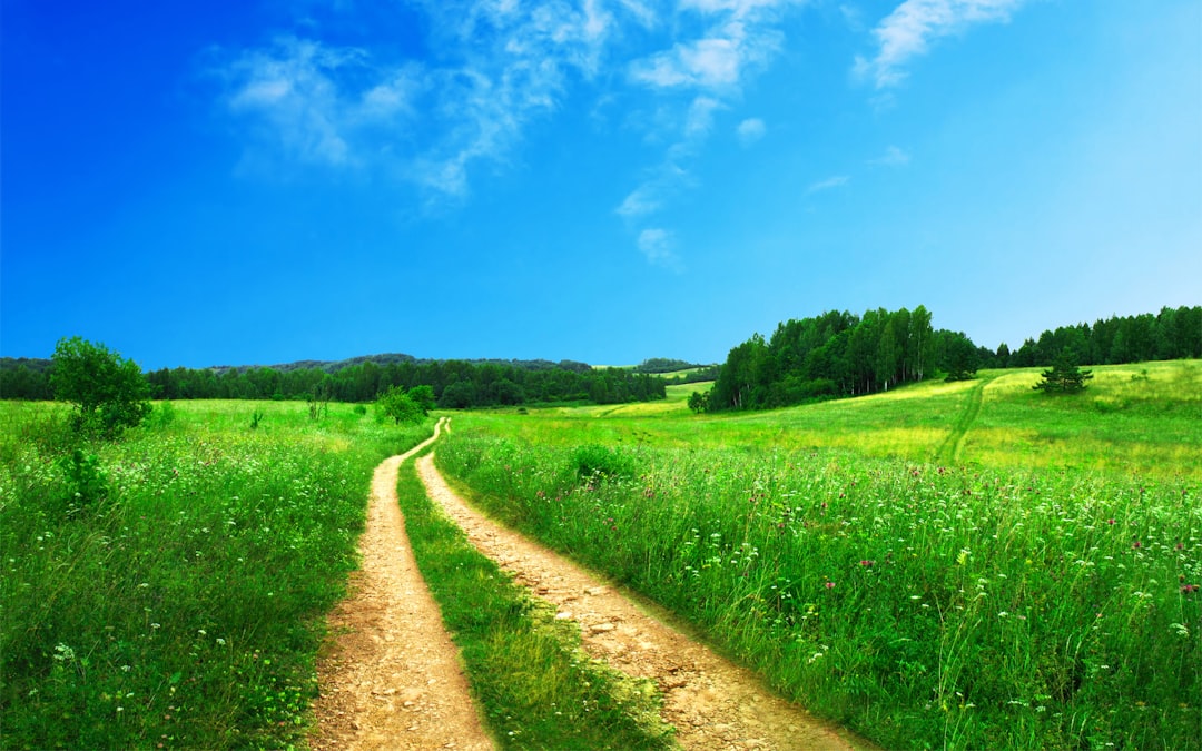 Bỏ Default Path Để Làm Solo Dev: Đừng Ảo Tưởng