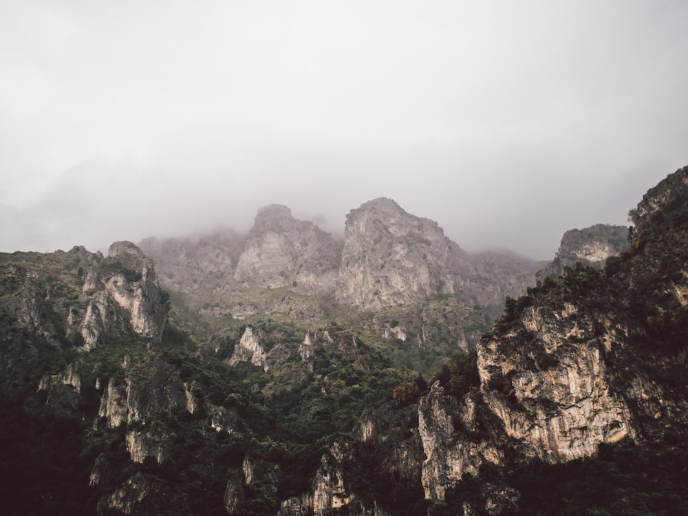 Vista das árvores no topo da montanha