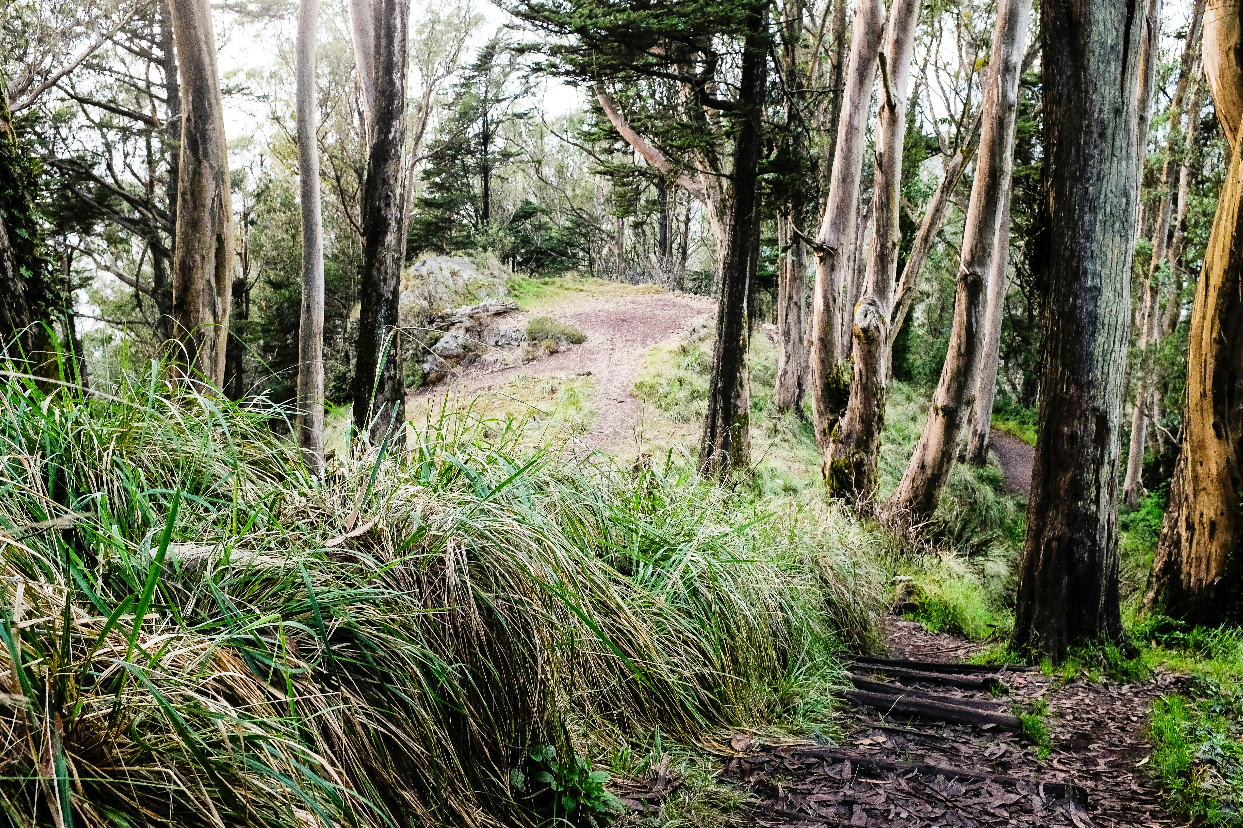 Free Unsplash photo from Pavan Trikutam