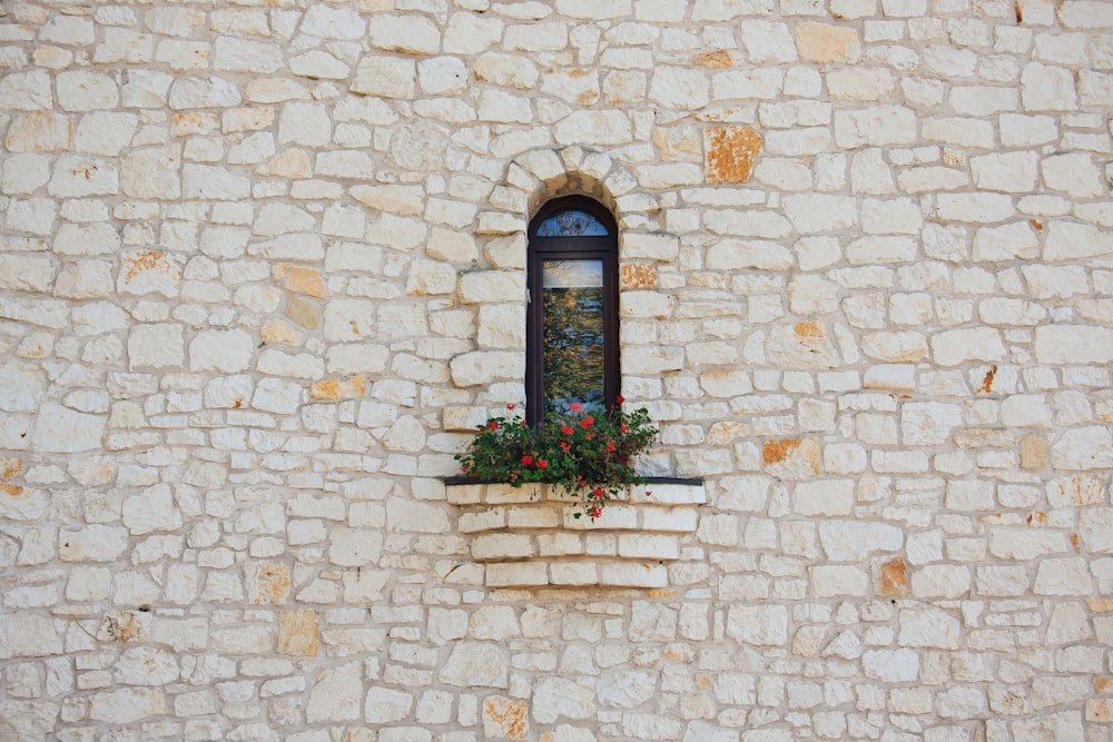 window with plants on awning