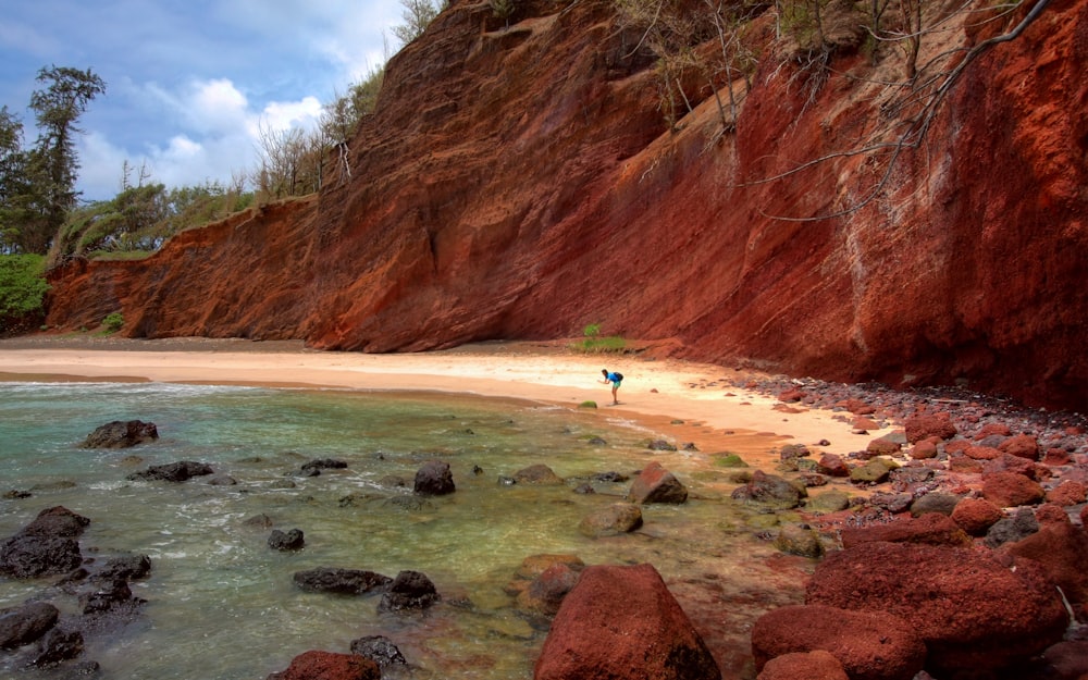 person on seashore beside cliff during daytime