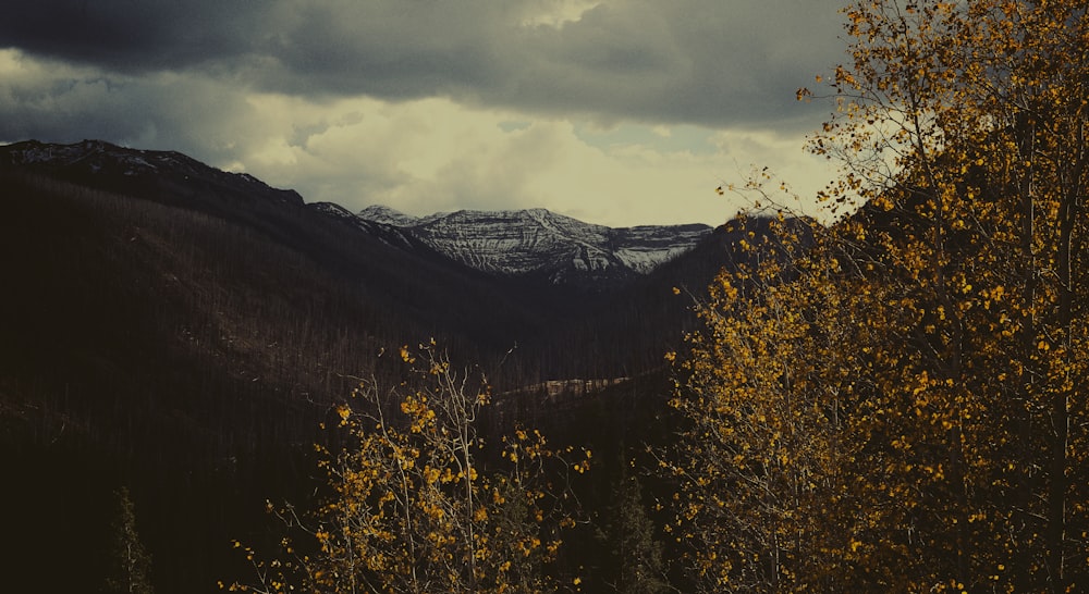 silhouette of mountain