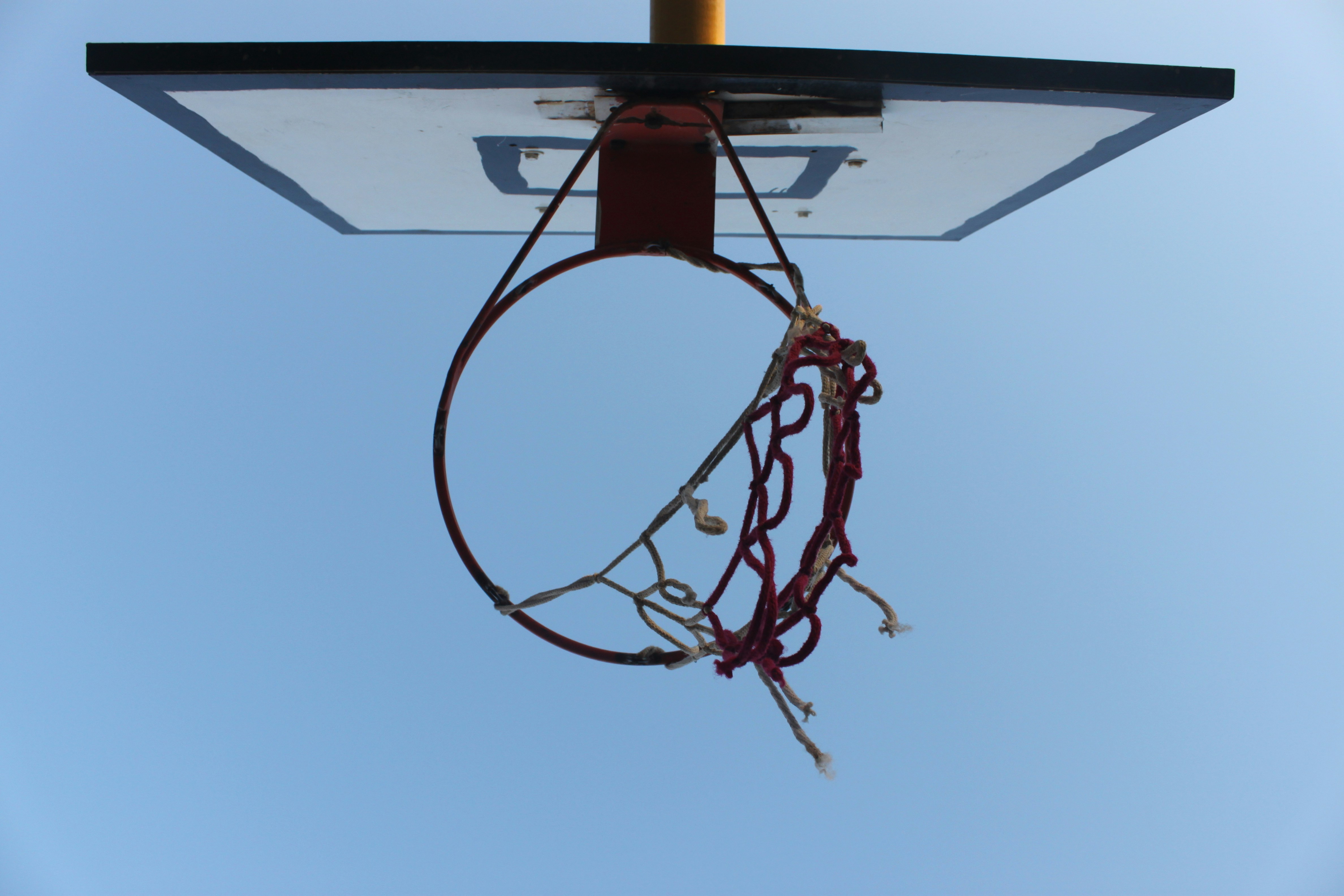 Free Unsplash photo from Mohammad Hossein Mojtahedi