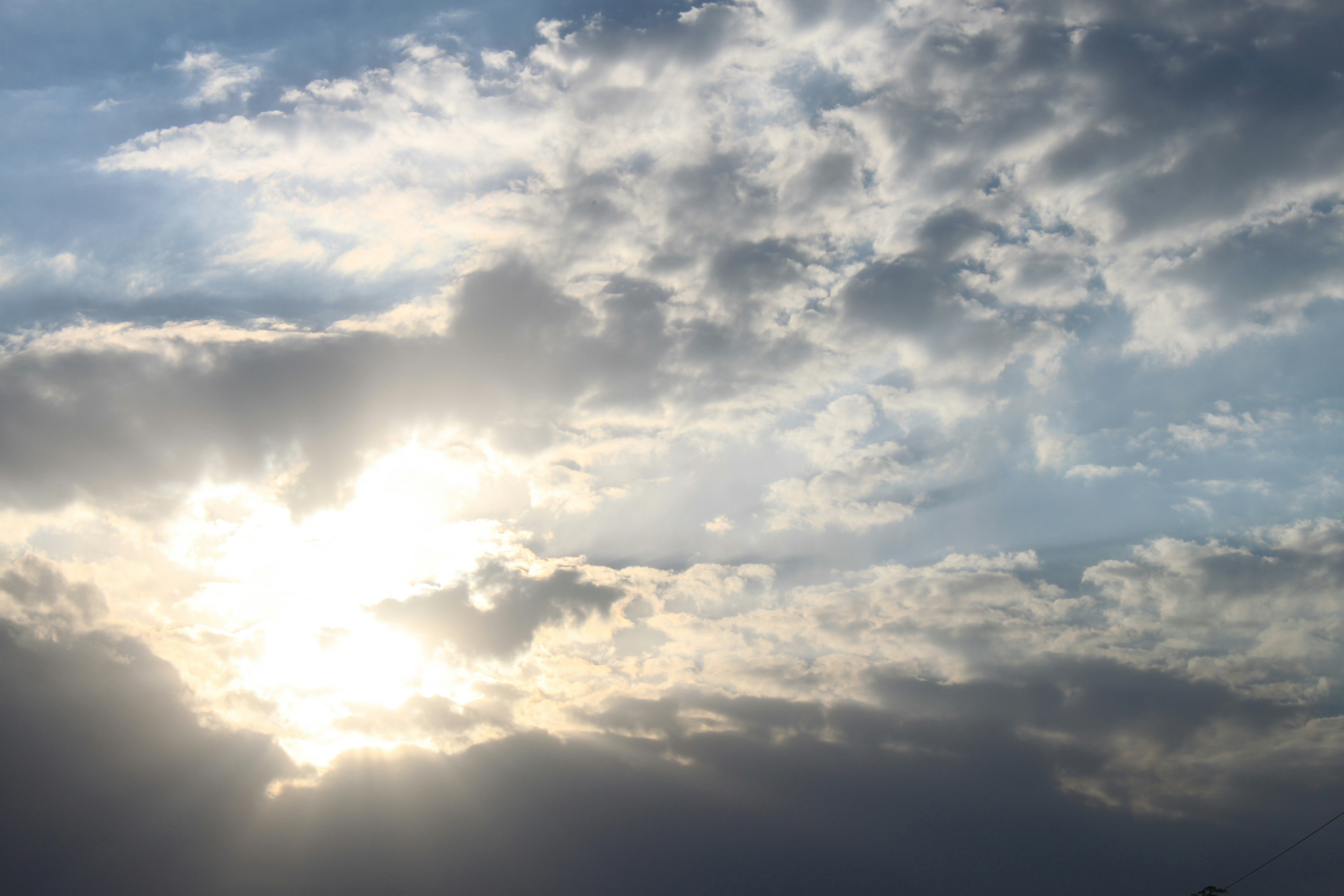 Free Unsplash photo from Mohammad Hossein Mojtahedi