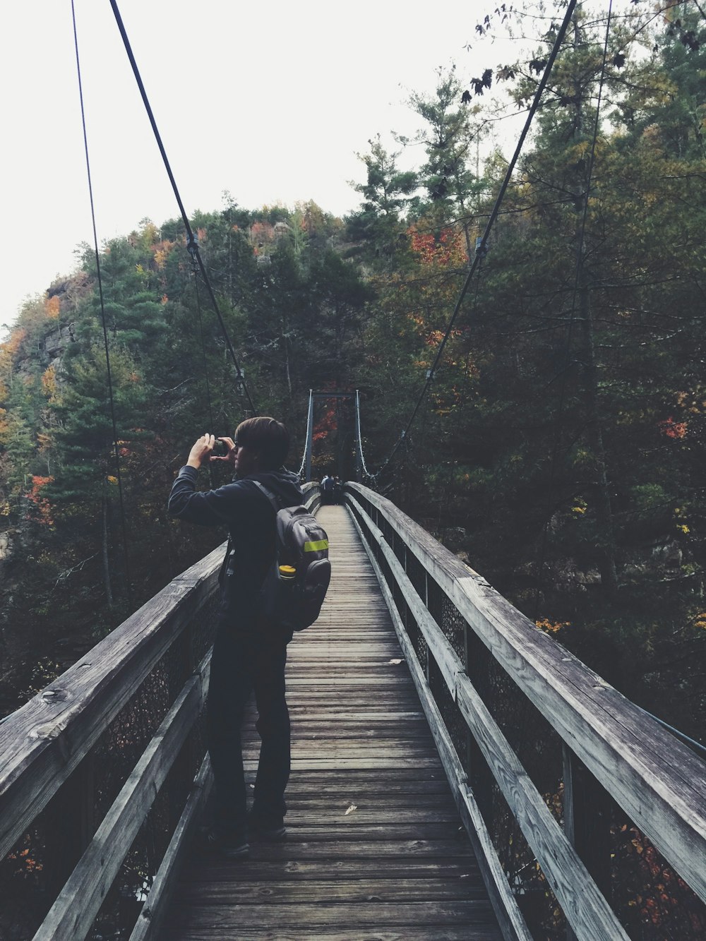 man taking photo of trees