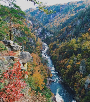 A scenic autumn landscape with a river flowing through a steep, forested canyon. The trees display vibrant fall colors, including reds, oranges, yellows, and greens. Rocks and cliffs are visible on the left side of the image, adding a rugged element to the picturesque scene.