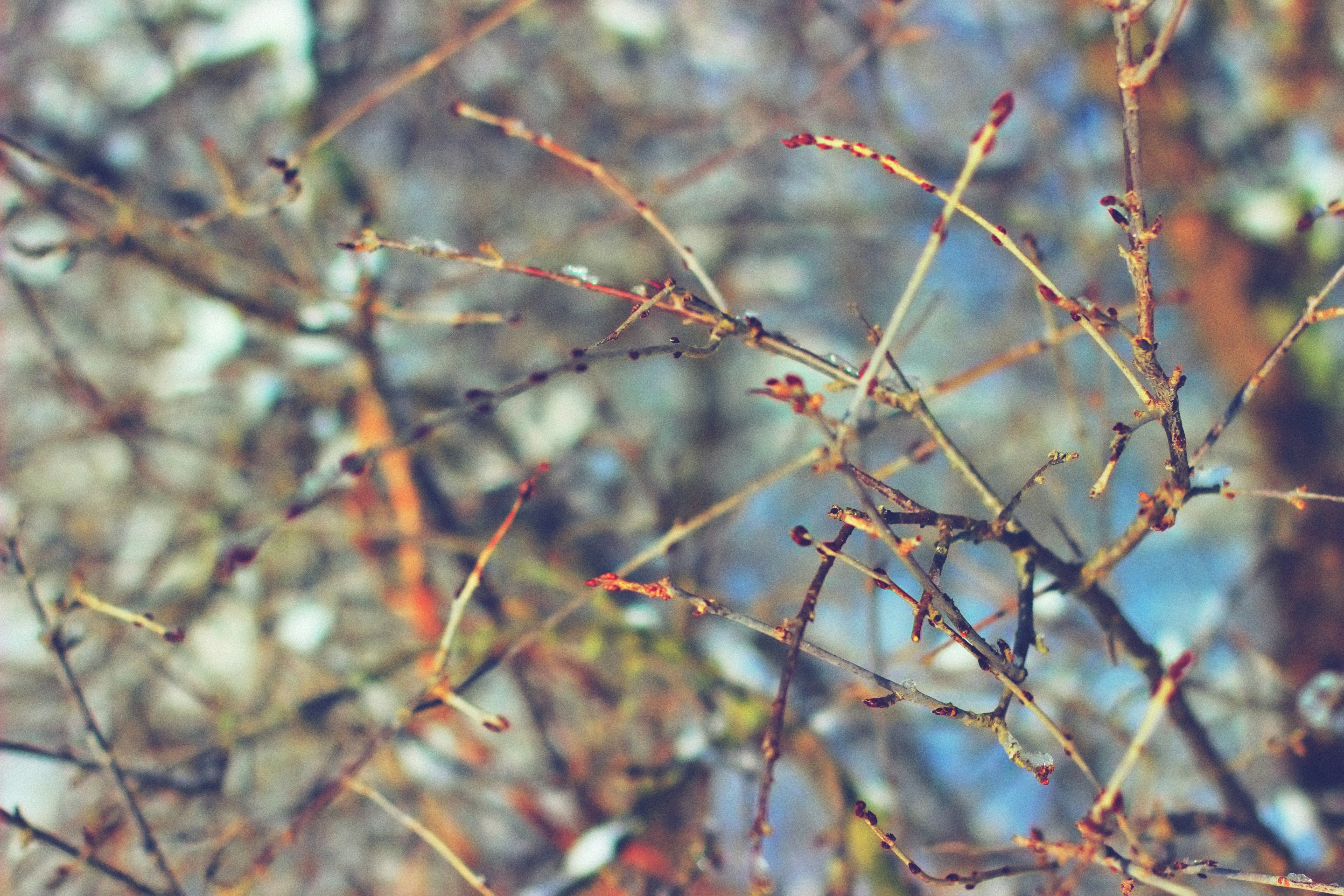 Free Unsplash photo from Vadim Gromov