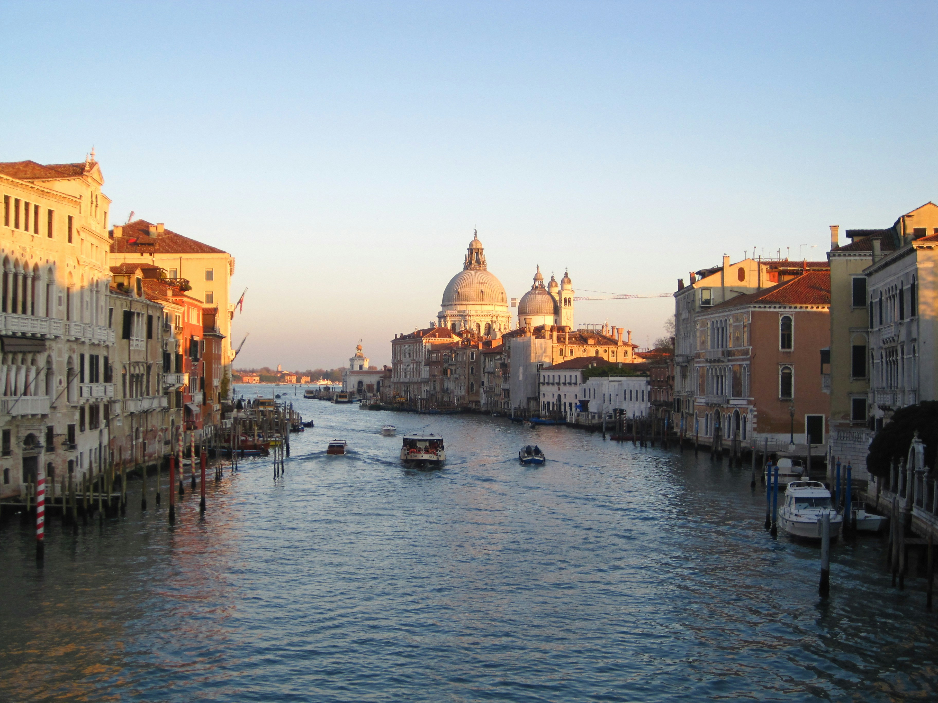 Free Unsplash photo from Billy Onjea