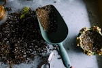 Garden maintenance service