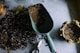 Food security solutions