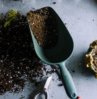 green metal garden shovel filled with brown soil